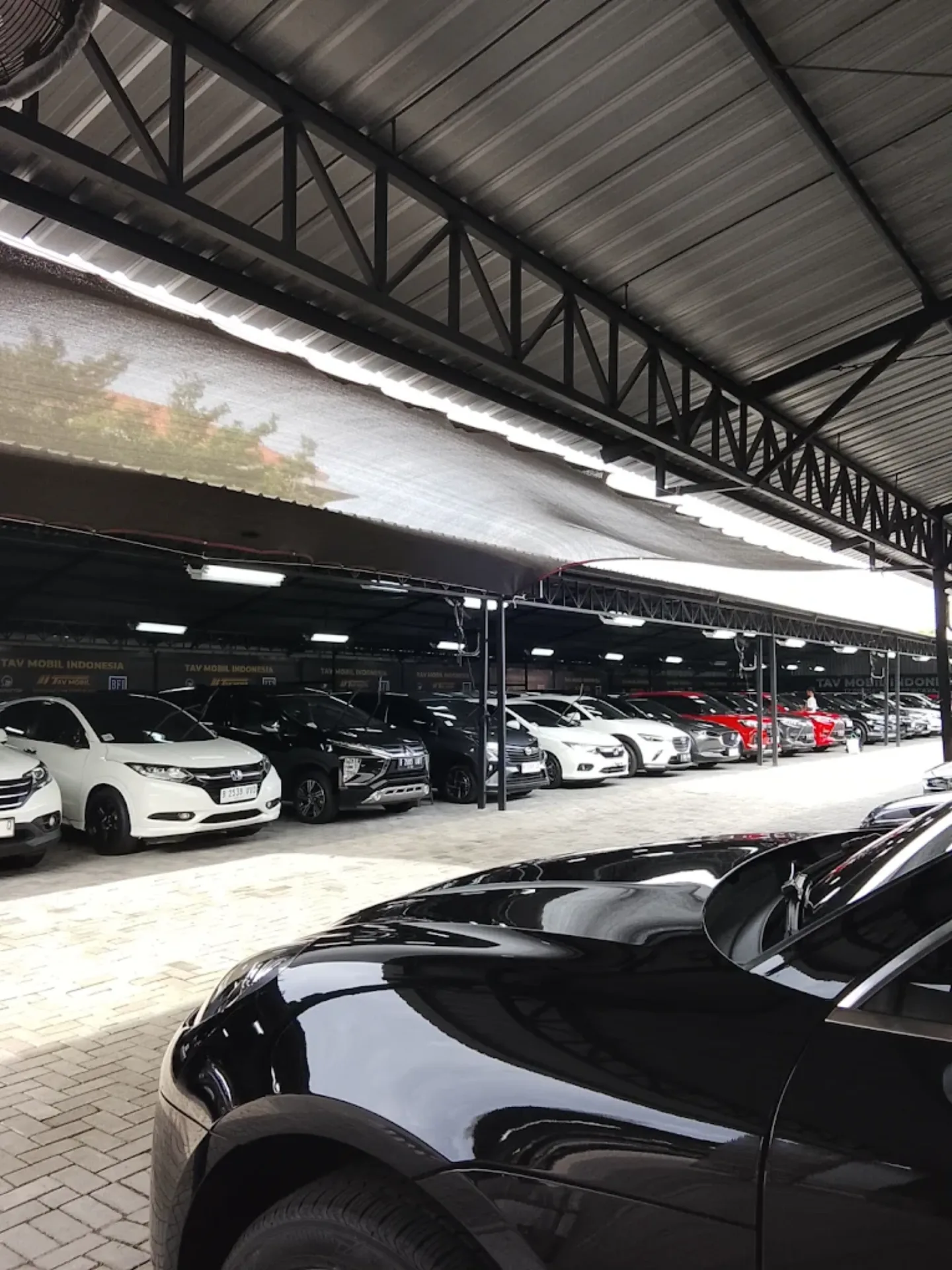 Gallery 2